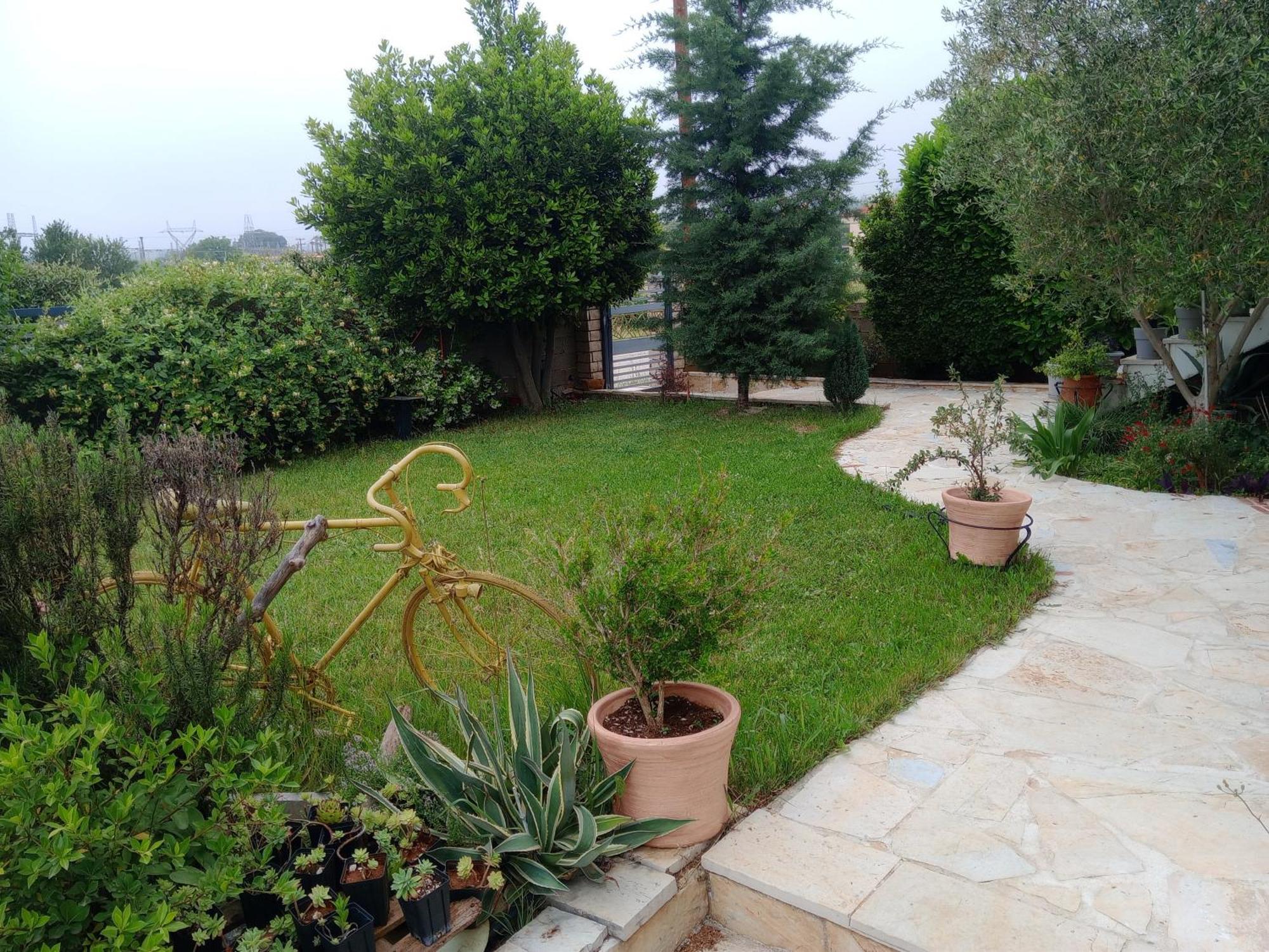 Katerina'S Guest House يانينة المظهر الخارجي الصورة